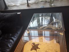 -17号蓝滩咖啡馆(武夷山店)