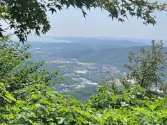-惠山国家森林公园