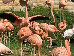 -哈尔滨北方森林动物园