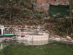 -花水湾第一村温泉大酒店