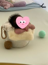 -玛瑞莎·儿童·亲子摄影(越秀店)