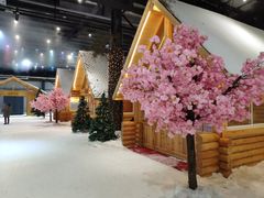 -宁波冰雪大世界(北仑区)