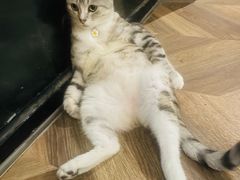 -1984魔法桌游(观音桥店)