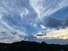 -福道