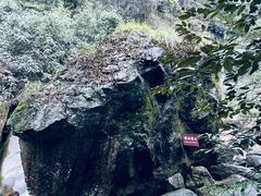 -大鄣山卧龙谷景区