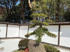 -新洲生态园
