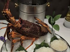 -金悦轩海鲜城(渔人码头店)