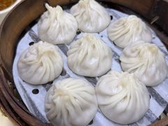 -莱莱小笼·乔艾