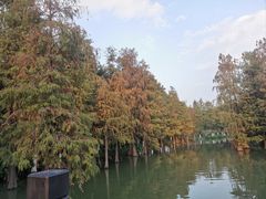 -海珠湖公园