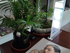 -杨兮眼视光工作室