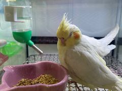 -鹏欣水游城