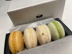 -BLACKSWAN黑天鹅(环球店)