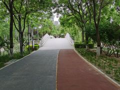 -大兴滨河森林公园