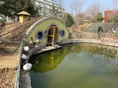 -南宫五洲植物乐园