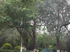 -永定河休闲森林公园