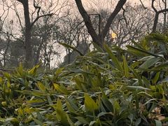 -拙政园