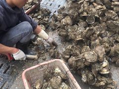 -蚝专家(北滘店)