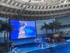 -海合安成都极地海洋公园