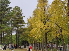 -美兰湖景区