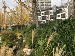 -活水公园