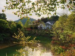 -龙川湾千岛湖国际垂钓中心