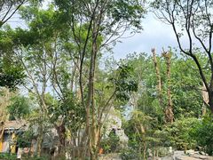 -海口观澜湖火山温泉谷