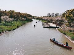 -上海海湾国家森林公园
