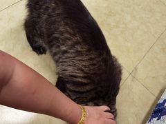 -沐沐家宠物(成寿寺店)