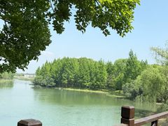 -无锡蠡湖国家湿地公园-蠡园