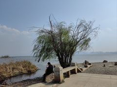 -洱海月湿地公园