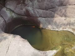 -美人谷景区