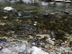 -石砭峪水库