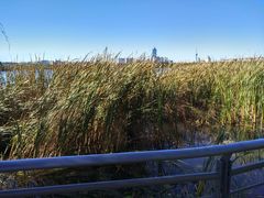 -长春市南湖公园