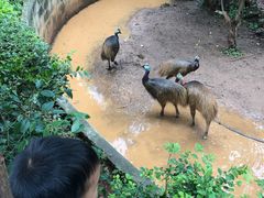 -昆明动物园