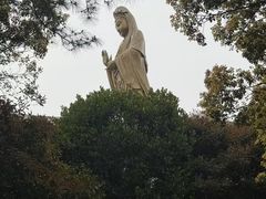 -普陀山风景名胜区-法雨禅寺