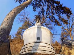 -潭柘寺景区