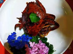 -小娘惹厨房Little Nyonya(狮城有约上榜店)