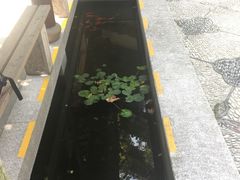 -全季酒店（苏州观前街平江路店）(原临顿路地铁站店)
