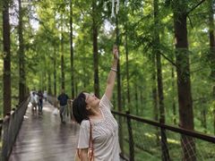 -黄海国家森林公园