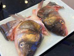 -青岛小羔羊火锅(李村公园店)