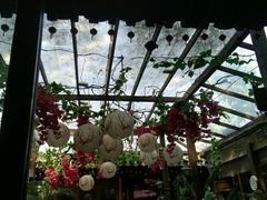 大堂-束河人家(南锣鼓巷店)