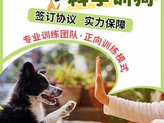 -宠物寄养训练学校