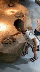 -Zoolung Zoolung动物主题公园(海信广场店)