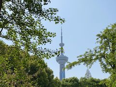 -南京古林公园