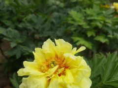 -狼山风景名胜区