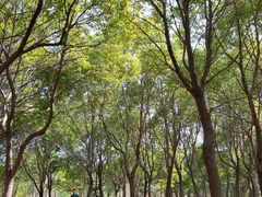 -嘉北郊野公园