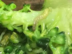 -比格比萨自助(赛罕区万达广场店)