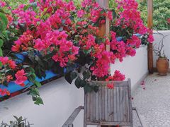-长江六号法国餐厅(长江南路店)