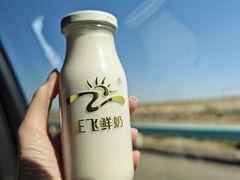-正飞鲜奶(吐鲁番路店)