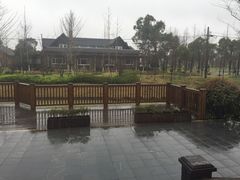 -上海多利农业发展有限公司